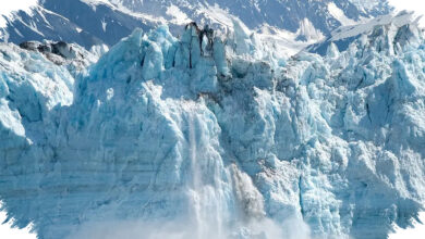 Bola Emas di Kedalaman Alaska Bukan Telur Misterius, Ini Identitas Sebenarnya
