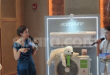 Indonesia Bukan Sekadar Pasar, Acerpure Jadikan Generasi Muda Target Utama