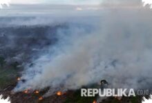 Kemarau Baru Dimulai, 37 Karhutla Sudah Tersebar di 16 Daerah Jawa Tengah