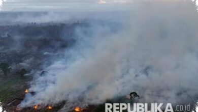 Kemarau Baru Dimulai, 37 Karhutla Sudah Tersebar di 16 Daerah Jawa Tengah