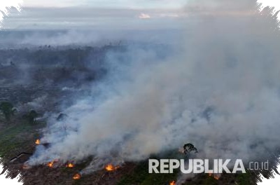 Kemarau Baru Dimulai, 37 Karhutla Sudah Tersebar di 16 Daerah Jawa Tengah