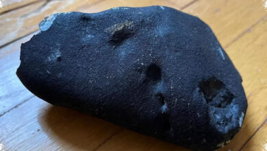 Meteor Tembus Atap Rumah di New Jersey, Batu Langka Ini Simpan Jejak Air Asin Purba