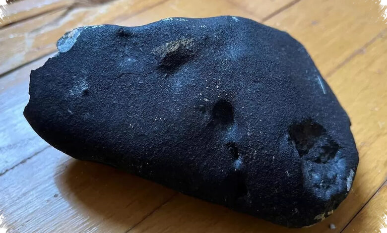 Meteor Tembus Atap Rumah di New Jersey, Batu Langka Ini Simpan Jejak Air Asin Purba