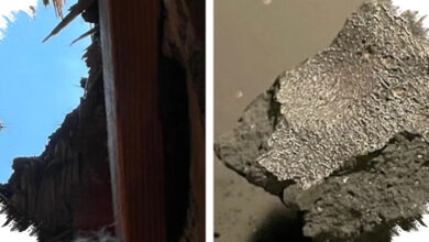 Meteorit yang Menembus Kamar Tidur di New Jersey Menyimpan Bahan Dasar Kehidupan