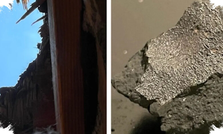Meteorit yang Menembus Kamar Tidur di New Jersey Menyimpan Bahan Dasar Kehidupan