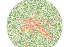 8 Tebak Hewan Tersembunyi di Pola Warna, Berani Uji Mata Sampai Tuntas?