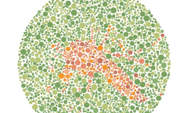 8 Tebak Hewan Tersembunyi di Pola Warna, Berani Uji Mata Sampai Tuntas?
