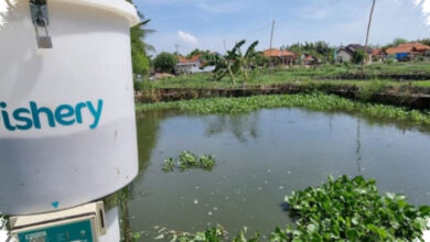 KWAP Terjerat Investasi Hampir RM200 Juta, Anwar Sebut eFishery Penipuan Terencana