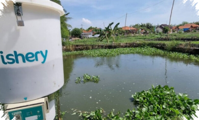 KWAP Terjerat Investasi Hampir RM200 Juta, Anwar Sebut eFishery Penipuan Terencana