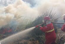Kemarau Kering Ancam Kalsel, 180 Personel Manggala Agni Disiagakan Cegah Karhutla