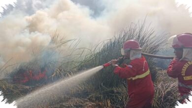 Kemarau Kering Ancam Kalsel, 180 Personel Manggala Agni Disiagakan Cegah Karhutla