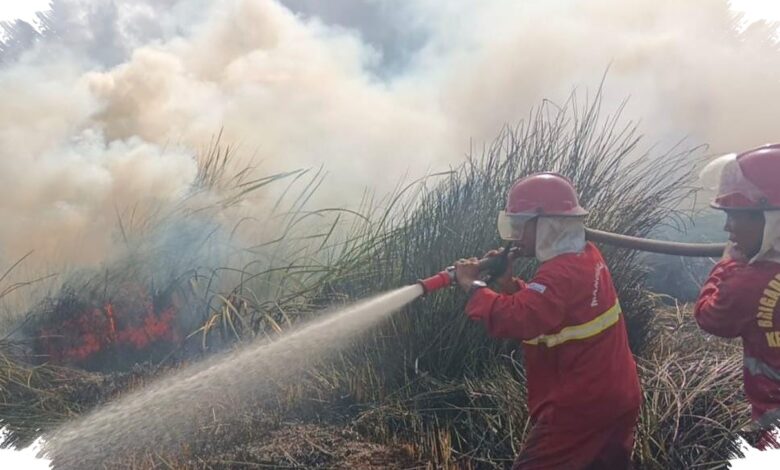 Kemarau Kering Ancam Kalsel, 180 Personel Manggala Agni Disiagakan Cegah Karhutla