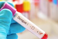 Dengue Menguras Hampir Rp9 Triliun pada 2026, 3M Plus Dinilai Tak Lagi Cukup