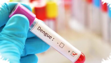Dengue Menguras Hampir Rp9 Triliun pada 2026, 3M Plus Dinilai Tak Lagi Cukup
