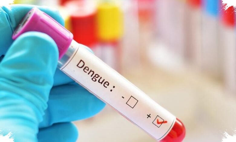 Dengue Menguras Hampir Rp9 Triliun pada 2026, 3M Plus Dinilai Tak Lagi Cukup