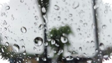 Hujan Deras Akhirnya Turun di Bogor, Harapan bagi 42.691 Warga Kekurangan Air