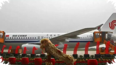 Maskapai China Pesan 95 Airbus Senilai Rp 319 Triliun, Ekspansi Armada Makin Agresif