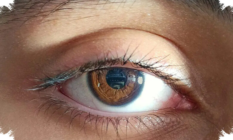 Retina Donor Kembali Merespons Cahaya, Sinyal Makula Terekam Setelah Kematian