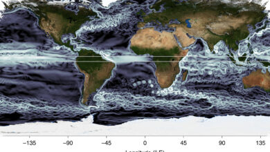 Pusaran Kecil di Laut Ternyata Bisa Menggeser Prediksi Panas dan Karbon Global