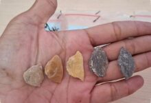 Teknologi Toalean Tak Muncul Mendadak, Jejaknya di Sulsel Membentang 40 Ribu Tahun