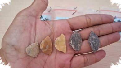Teknologi Toalean Tak Muncul Mendadak, Jejaknya di Sulsel Membentang 40 Ribu Tahun