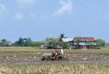 Sawah Mulai Kering, Sidrap Kerahkan Mobil Tangki demi Cegah Gagal Panen