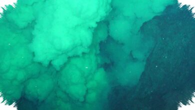 Lava dari Dasar Laut Mayotte Membawa Jejak Bumi Saat Bulan Diperkirakan Terbentuk