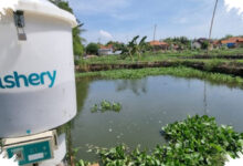 PM Malaysia Sesalkan Penipuan eFishery, KWAP Investasikan Nyaris RM200 Juta