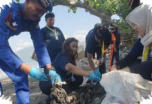 Popok Sekali Pakai Mendominasi Sampah Pantai Sidem, Temuannya Capai 52 Kg