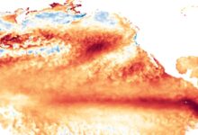 Ilmuwan Usul Cerahkan Awan untuk Redam El Nino, Namun Risikonya Mengintai