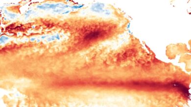 Ilmuwan Usul Cerahkan Awan untuk Redam El Nino, Namun Risikonya Mengintai