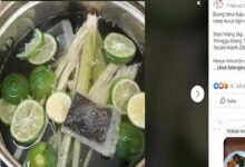 7 Minuman Rumahan yang Berpotensi Bantu Turunkan Berat Badan, Mudah Diracik