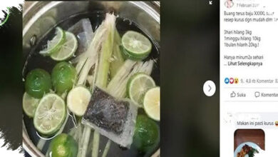 7 Minuman Rumahan yang Berpotensi Bantu Turunkan Berat Badan, Mudah Diracik