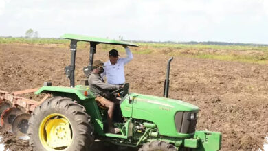 Mentan Bantah Isu Tanah Papua Rp 100.000 per Hektare, Sawah Tetap Milik Rakyat