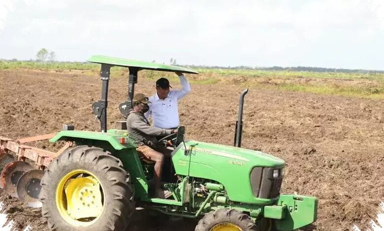 Mentan Bantah Isu Tanah Papua Rp 100.000 per Hektare, Sawah Tetap Milik Rakyat
