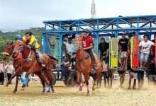 Keselamatan Joki Mulai Dibenahi, Pacu Kuda Sumba Menatap PON 2028