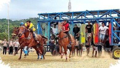 Keselamatan Joki Mulai Dibenahi, Pacu Kuda Sumba Menatap PON 2028