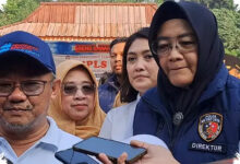 Sekolah Sepi Murid Menjadi Alarm, 4 Langkah Kemendikdasmen Menjaga Mutu Pendidikan