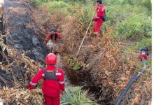Karhutla Pematang Pudu Meluas 81 Hektare, Api Padam tetapi Asap Belum Tuntas