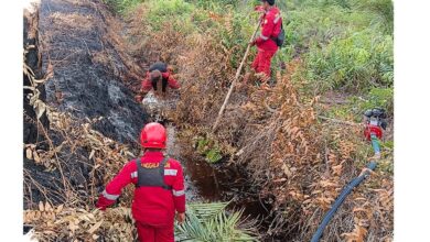 Karhutla Pematang Pudu Meluas 81 Hektare, Api Padam tetapi Asap Belum Tuntas