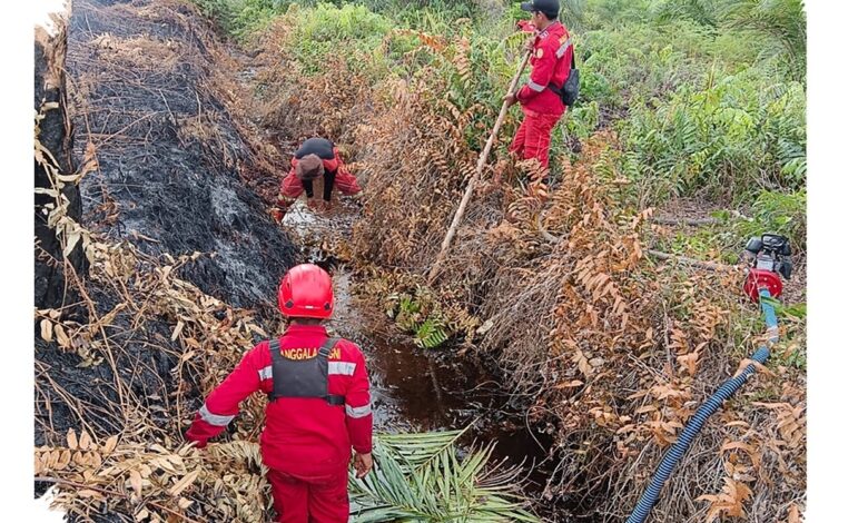 Karhutla Pematang Pudu Meluas 81 Hektare, Api Padam tetapi Asap Belum Tuntas
