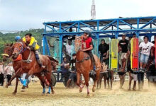 Jelang PON 2028, Pacuan Kuda Sumba Barat Didorong Lebih Aman bagi Joki Cilik