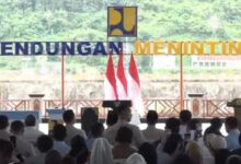 5 Bendungan Baru Menopang 39.540 Hektare Sawah, Jalan Swasembada Makin Terbuka
