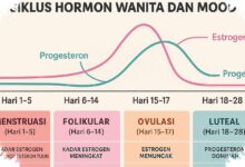 Perubahan Hormon Saat Menstruasi Bisa Mengusik Mood, Kapan Perlu Waspada?