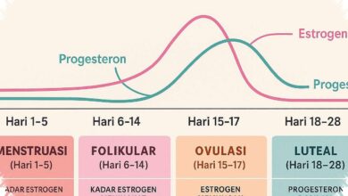Perubahan Hormon Saat Menstruasi Bisa Mengusik Mood, Kapan Perlu Waspada?