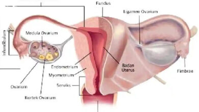 Lahir Tanpa Serviks dan Vagina, Remaja 18 Tahun Ini Jalani Rekonstruksi Rumit