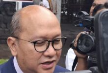 DSI Pantau Devisa US$ 10,5 Miliar, Selisih Harga Sawit Mulai Menyempit