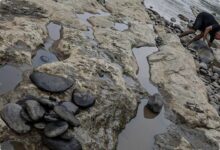 6 Titik di Jawa Lebih dari 60 Hari Tanpa Hujan, Puncak Kemarau Makin Dekat
