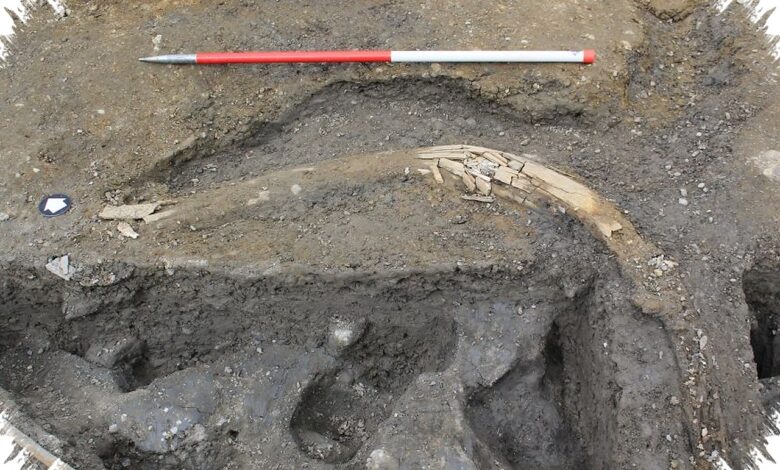 Maggot Tak Cukup Menjelaskan Jejak Makan Neanderthal, Mamut Kembali Disorot