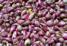 Harga Cabai dan Bawang Merah Melandai, Bawang Putih di Jakarta Justru Naik